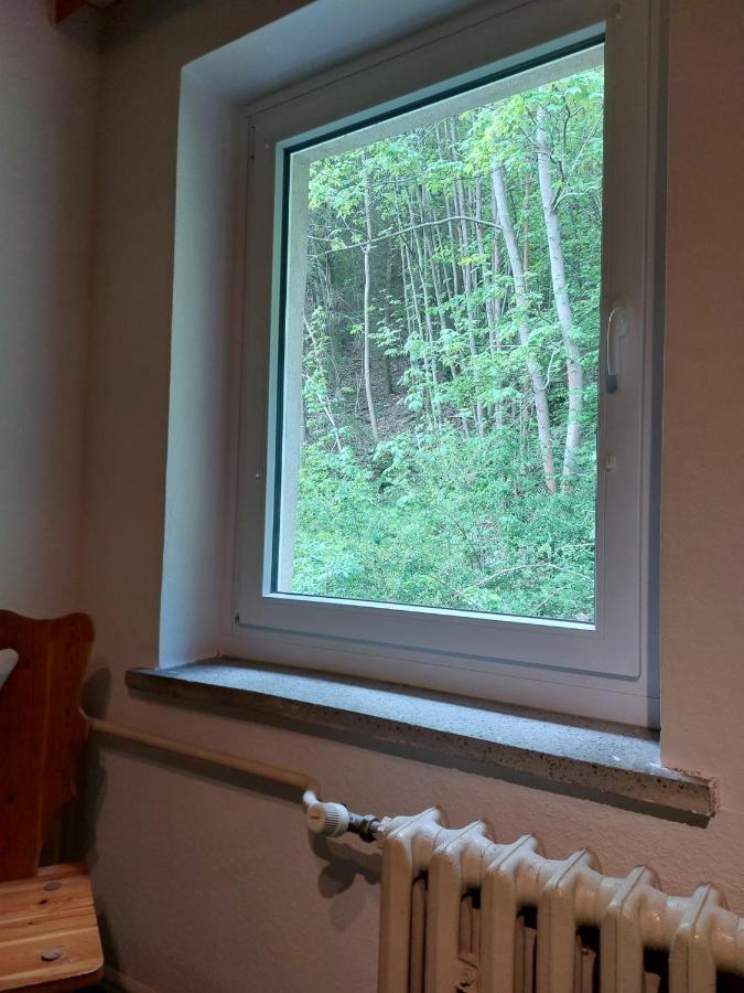 Pension Sternschnuppe, Treseburg Harz, Unmittelbar Am Wasser Thale Esterno foto