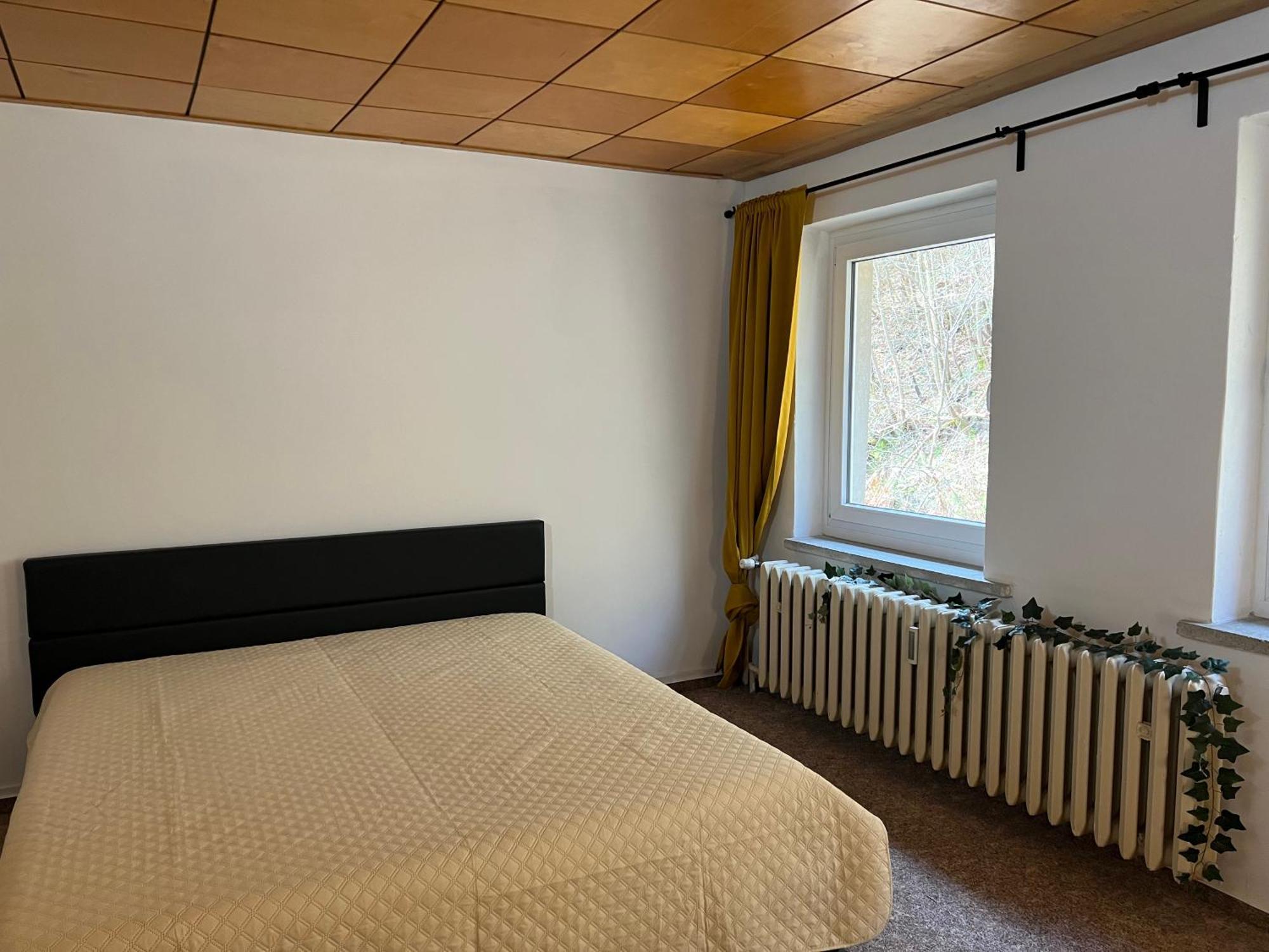 Pension Sternschnuppe, Treseburg Harz, Unmittelbar Am Wasser Thale Esterno foto