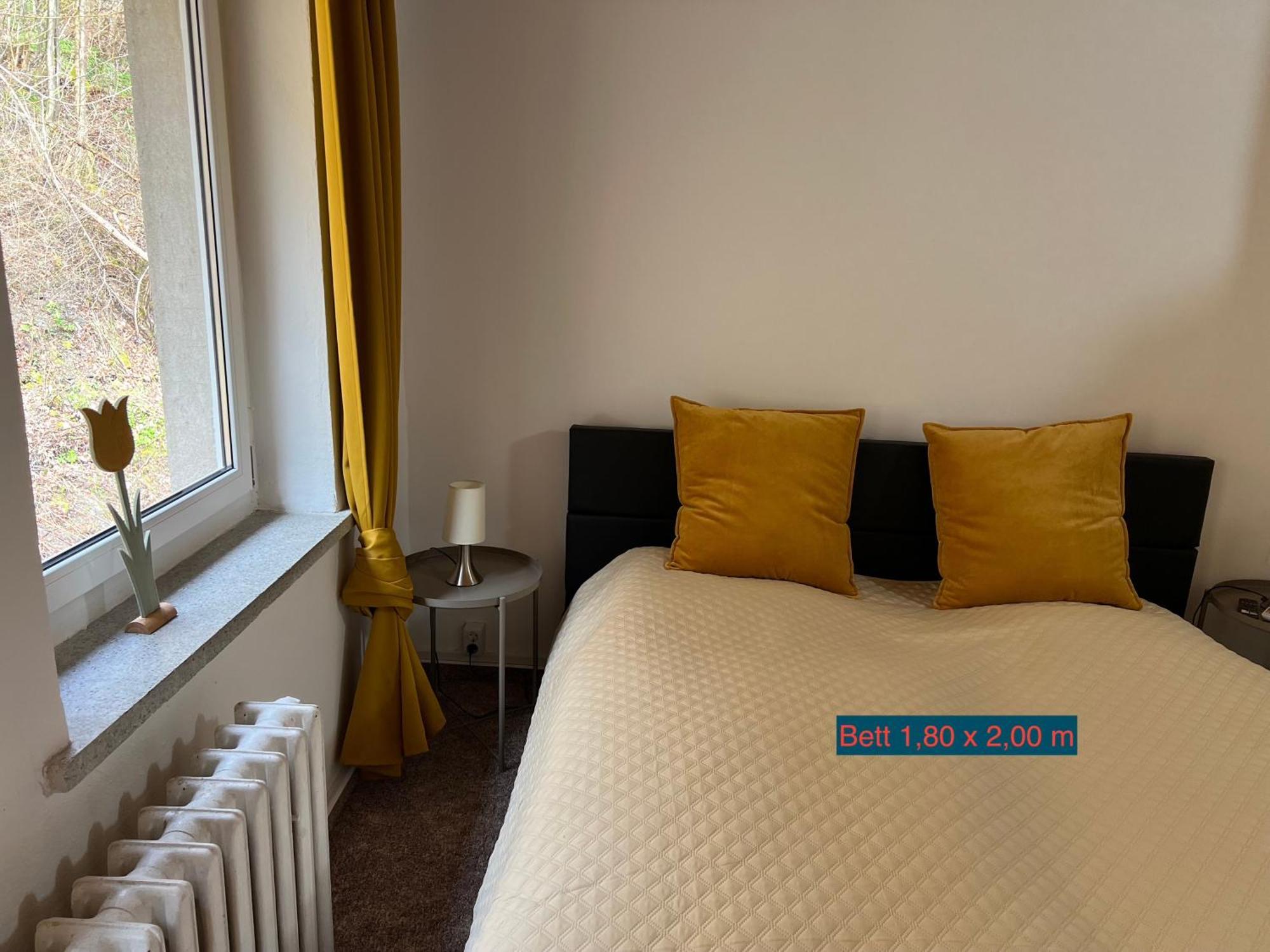 Pension Sternschnuppe, Treseburg Harz, Unmittelbar Am Wasser Thale Esterno foto
