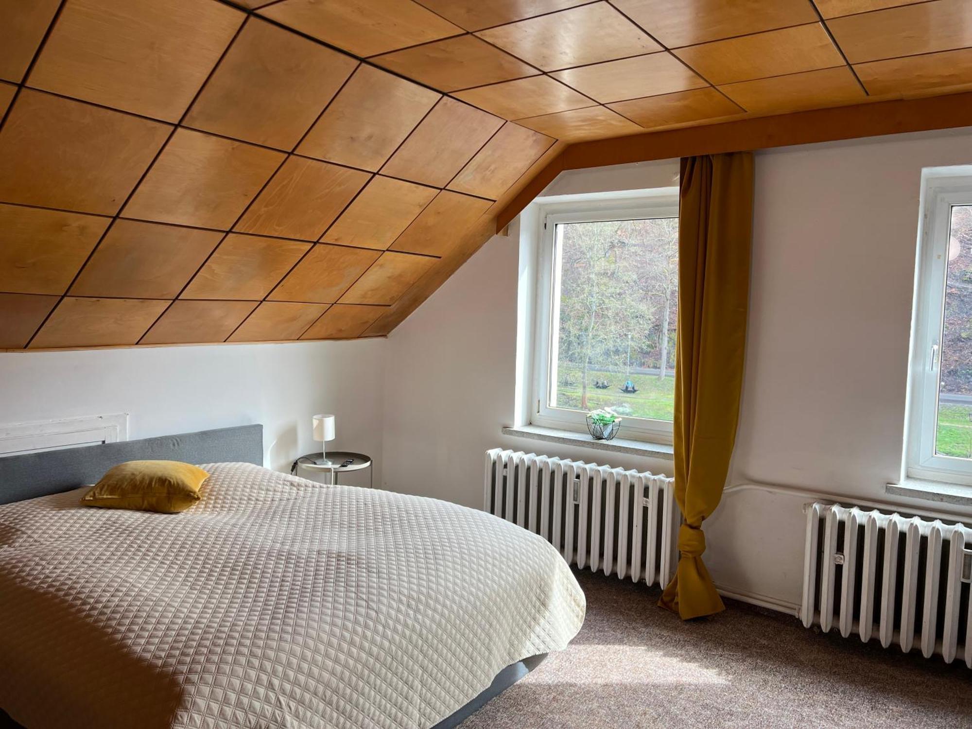 Pension Sternschnuppe, Treseburg Harz, Unmittelbar Am Wasser Thale Esterno foto